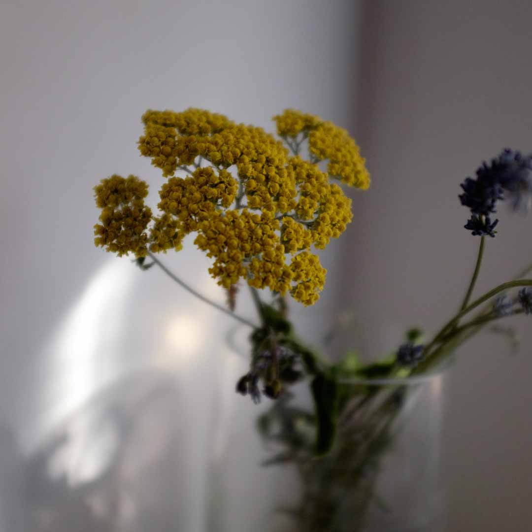Ramo de flores junto a la ventana